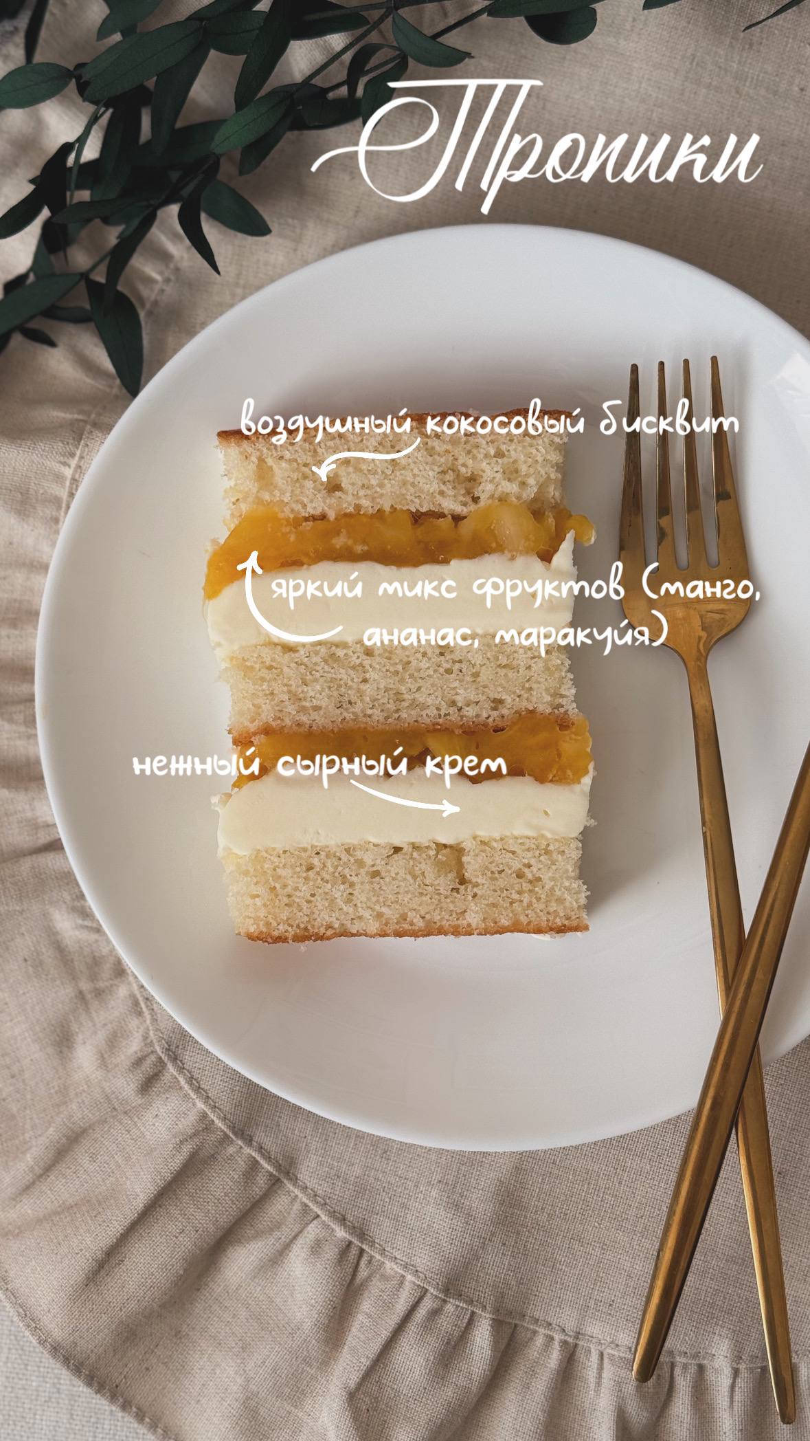Тропики