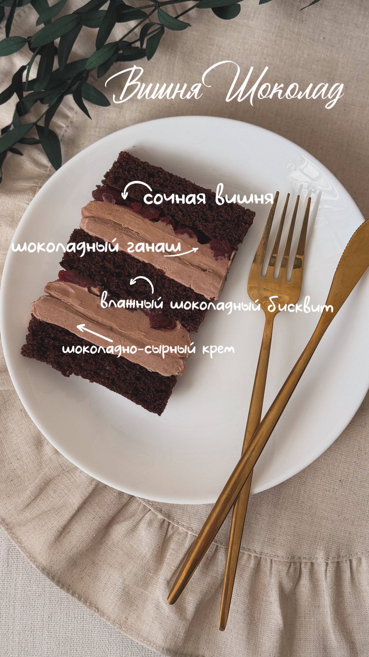 Вишня шоколад